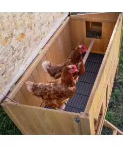 CASETTA POLLAIO PER GALLINE IN LEGNO "HEN HOUSE 30", 162X100X110 CM - FERPLAST